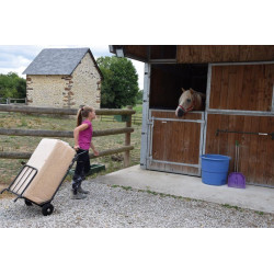 Diable : p1215901