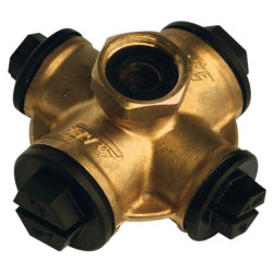 Polycroix : p1130751