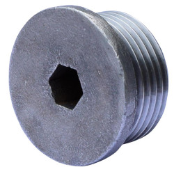 Bouchons de rechange pour Té femelle 3/4" : p1130846