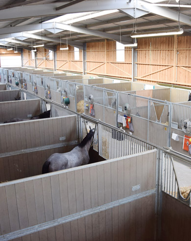 Comment construire ses boxes pour chevaux ?