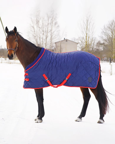 Les chevaux ont-ils froid en hiver ?