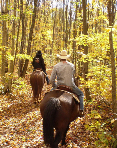 Bien préparer son cheval à l’arrivée de l’automne